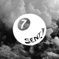 7 ball