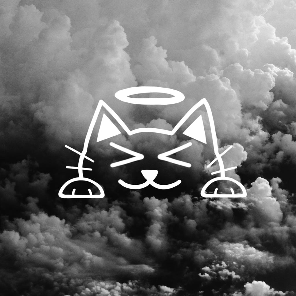 Halo Cat Peeker