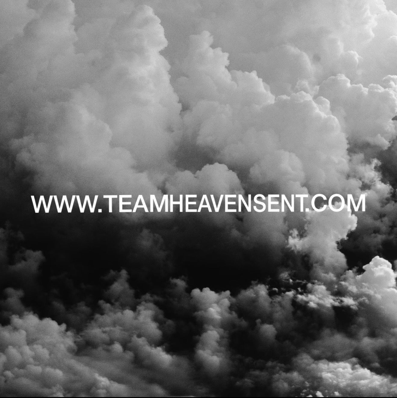 WWW Link