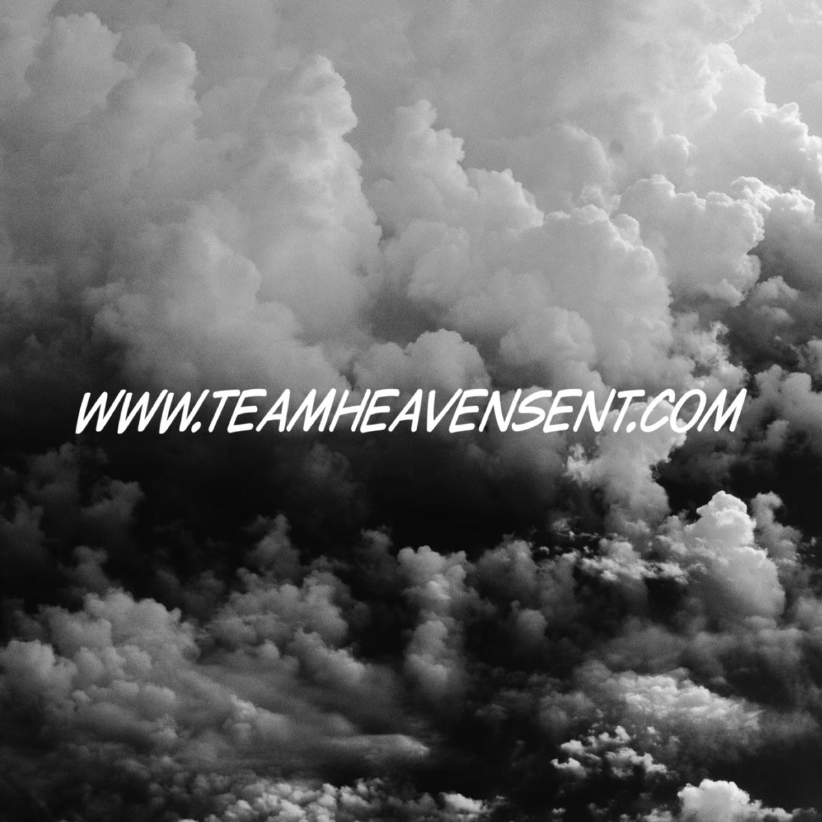 WWW Link
