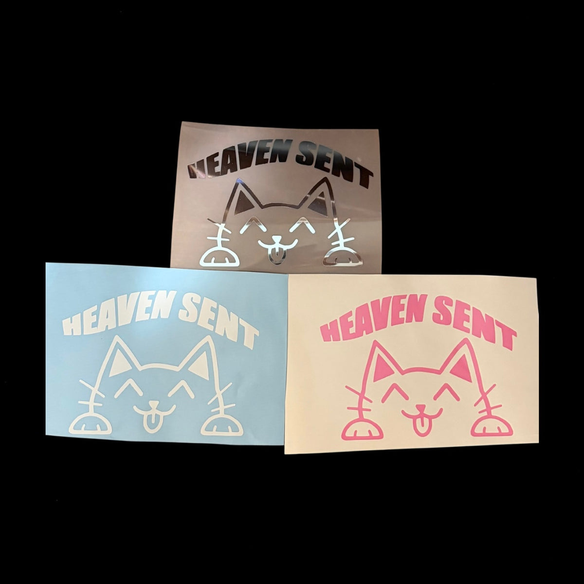 HS Cat Peeker